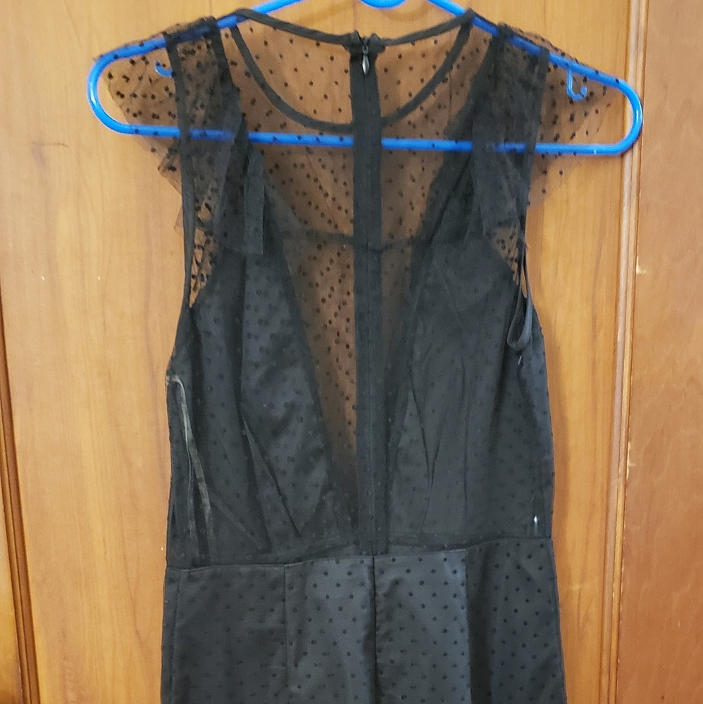 Elegant Black Sheer Polka Dot Dress